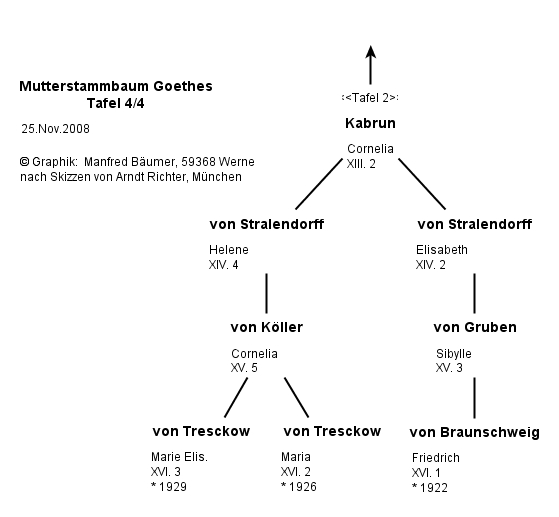 Mutterstammbaum Goethes Tafel 4